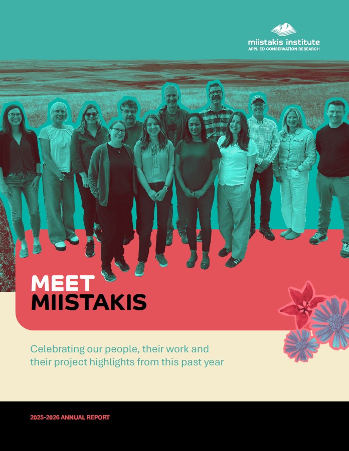 annual report