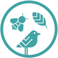 Biodiversity