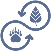 Ecological Connectivity