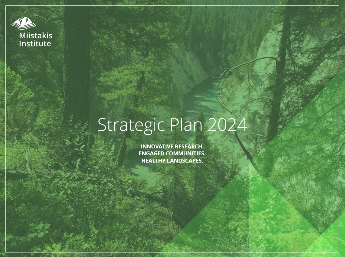 strategic plan